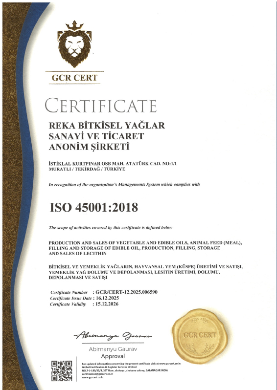ISO 45001