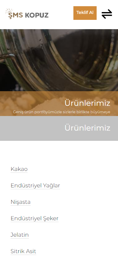 Özel Web Sitesi Tasarımı