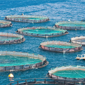 Aquaculture