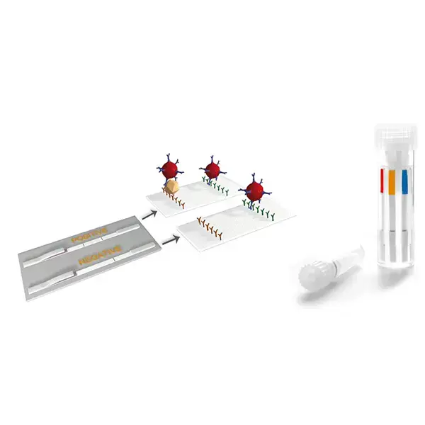 BIO K 306 - Rainbow Calf Scours 5 (Rapid Test Kit)