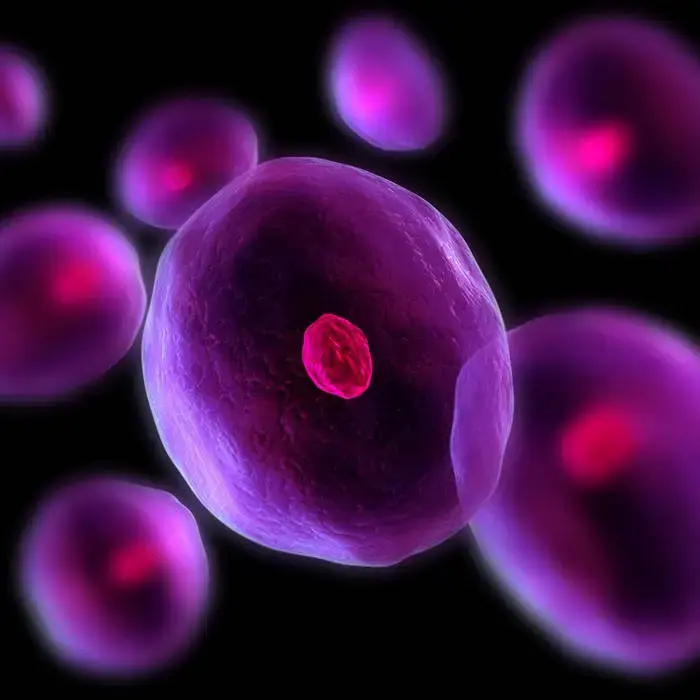 Polimed Variant Protein Combination (Supplementary Feed Rich In Proteins to Optimum Growth)