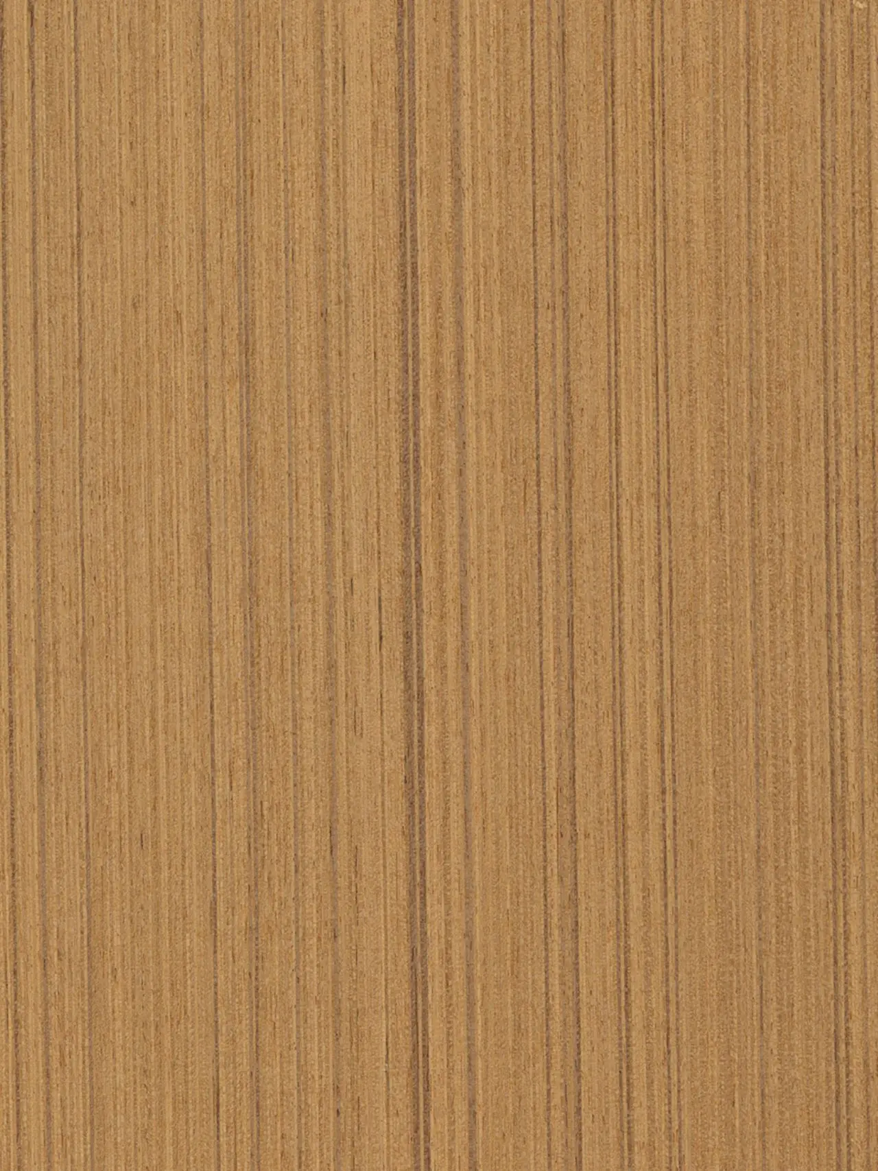 H-42 Teak Freze Koyu