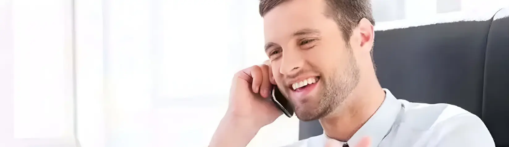 Alternate Text
