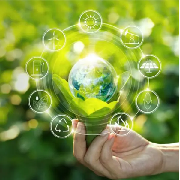 Environmental Policy