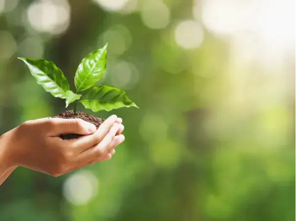 Our Social Projects