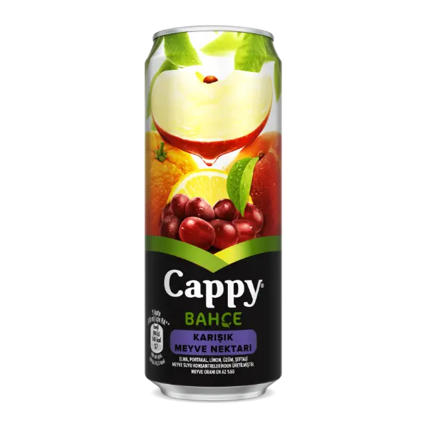 Cappy Karışık 33 cl