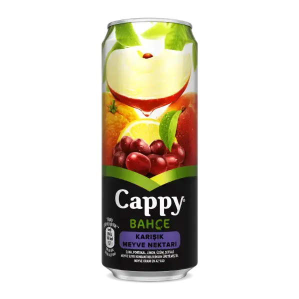 Cappy Karışık 33 cl