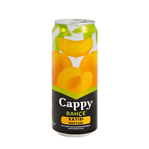 Cappy Kayısı 33 Cl