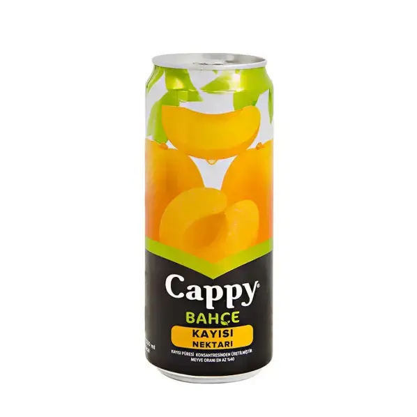 Cappy Kayısı 33 Cl