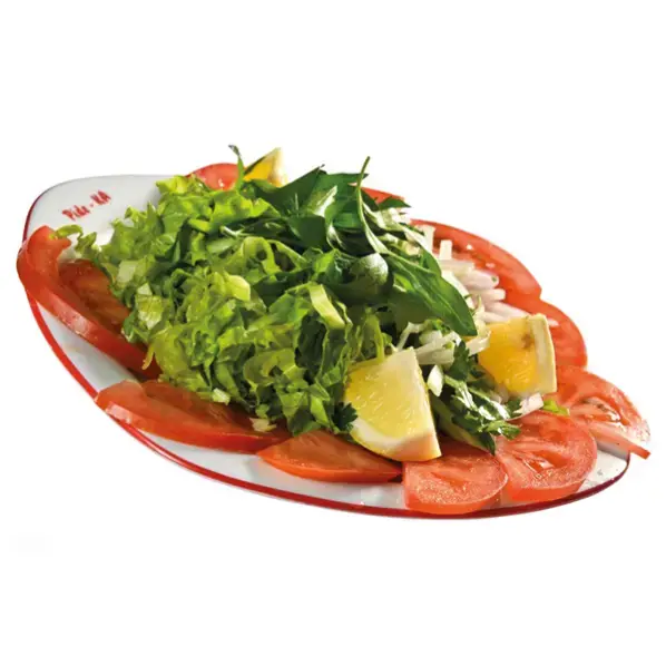 Mevsim Salata
