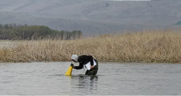 Biyoçeşitlilik